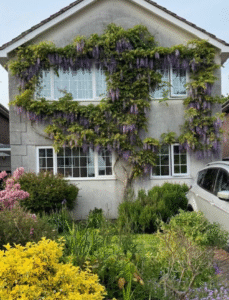 Silicone Render Replacement Portishead Before
